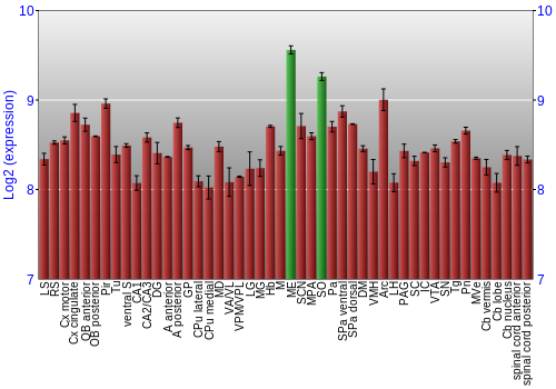 Multi-state expression graph