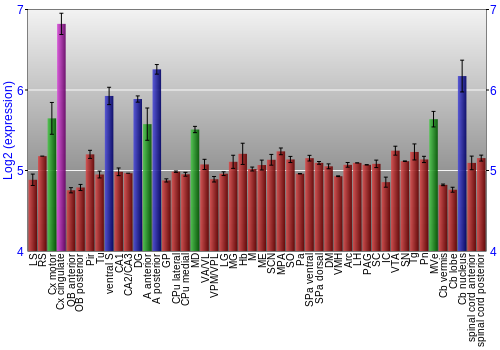Multi-state expression graph
