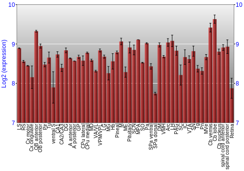 Expression graph