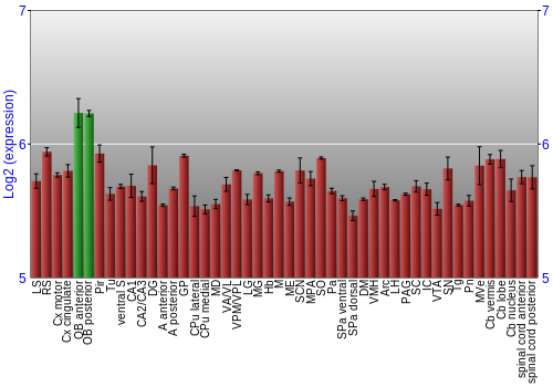 Multi-state expression graph