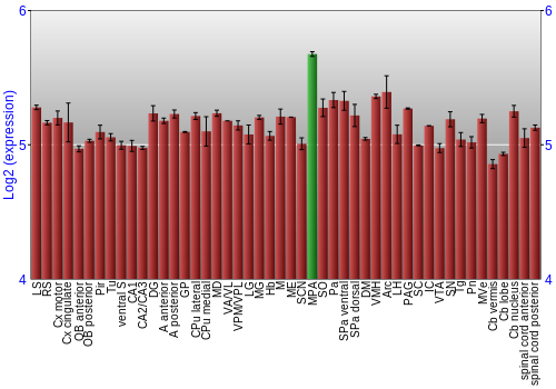Multi-state expression graph