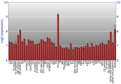 Expression graph