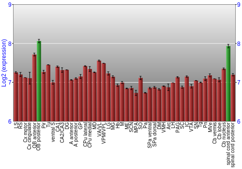 Multi-state expression graph