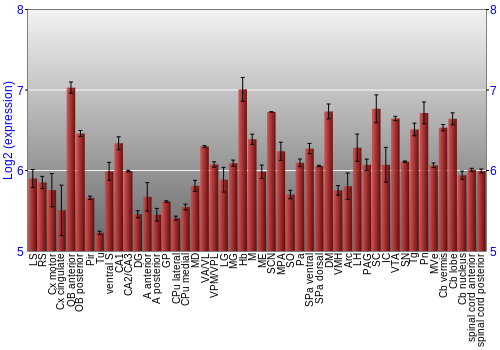 Multi-state expression graph