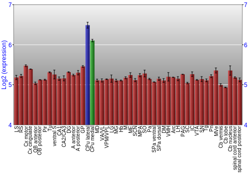 Multi-state expression graph