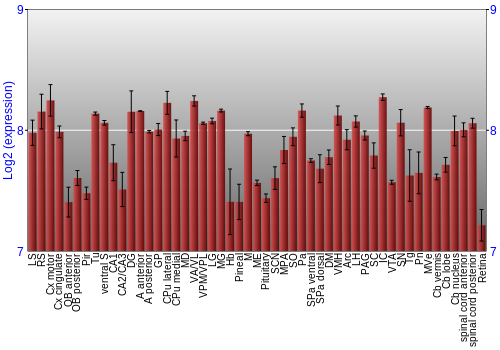 Expression graph