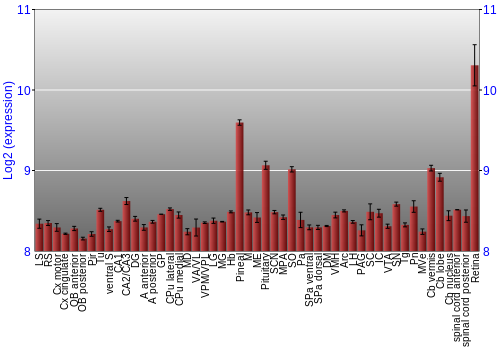 Expression graph