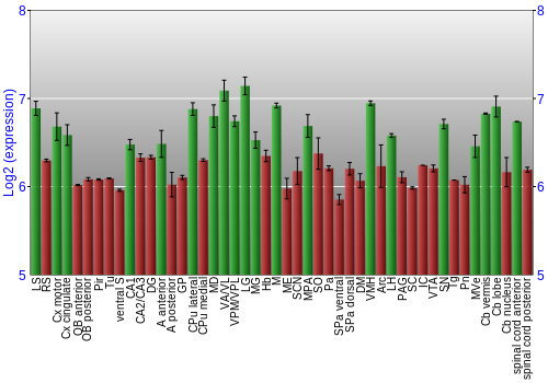 Multi-state expression graph