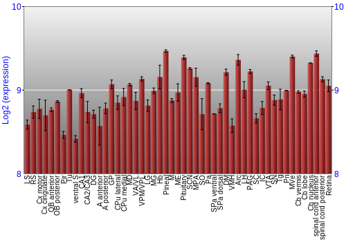 Expression graph