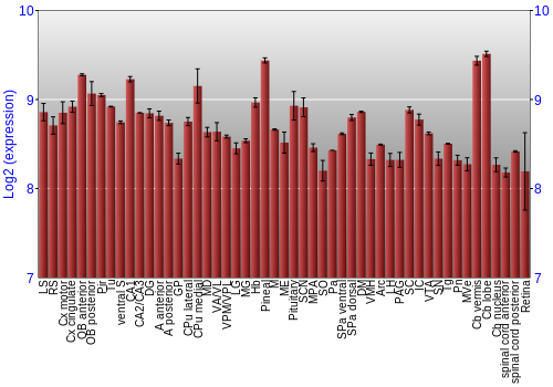 Expression graph