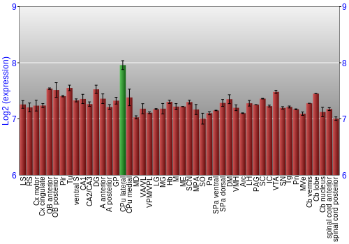 Multi-state expression graph
