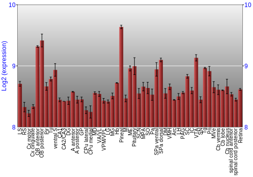Expression graph