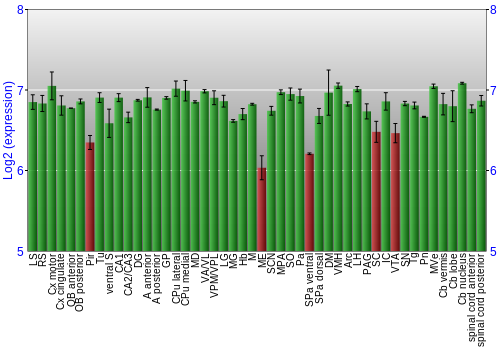 Multi-state expression graph