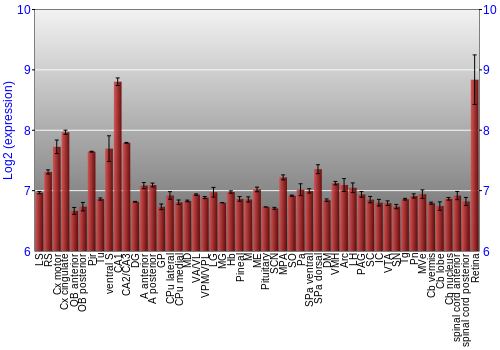 Expression graph