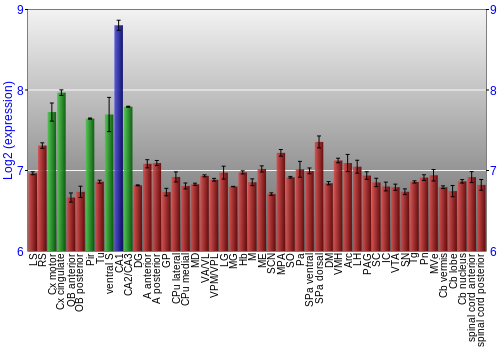Multi-state expression graph