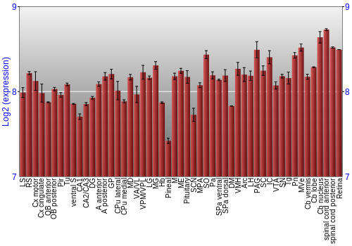 Expression graph