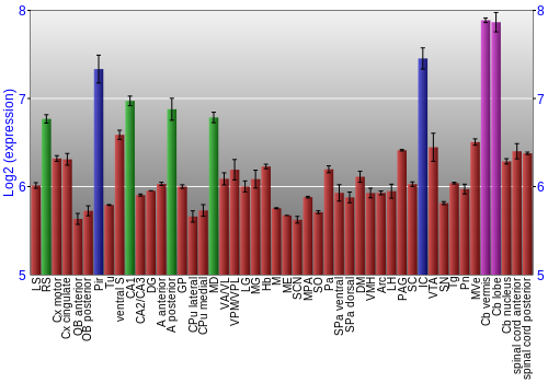 Multi-state expression graph