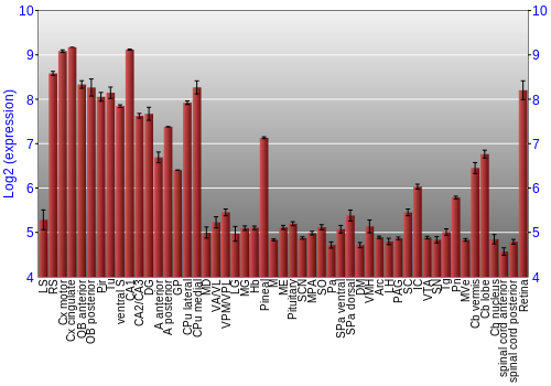 Expression graph
