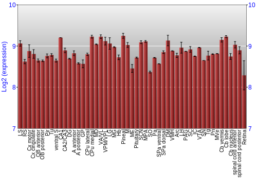 Expression graph