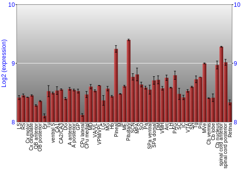 Expression graph