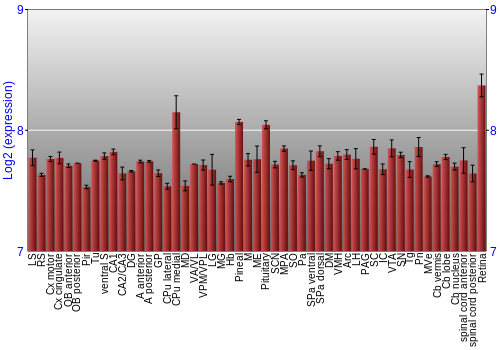 Expression graph