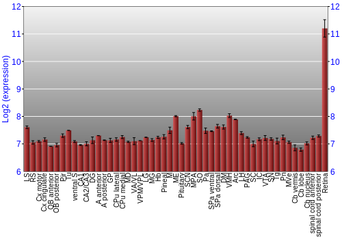 Expression graph
