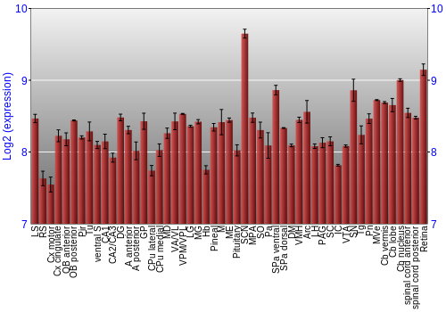 Expression graph