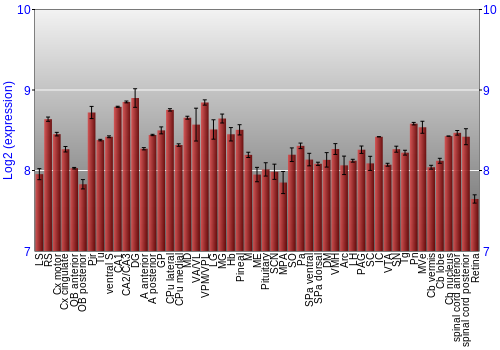 Expression graph