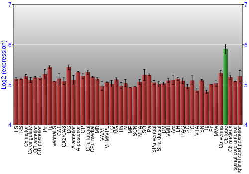 Multi-state expression graph