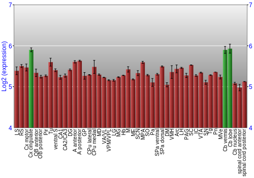 Multi-state expression graph