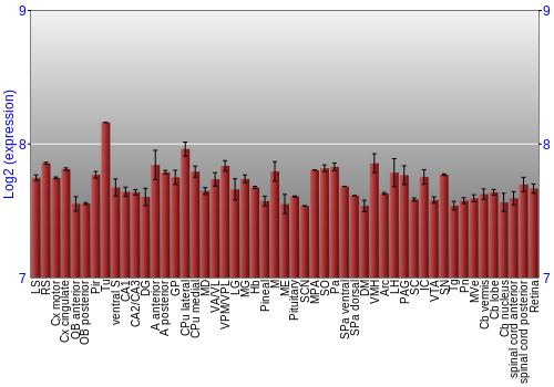 Expression graph