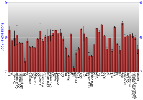 Expression graph