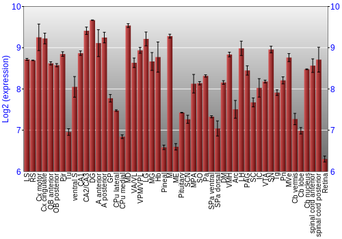 Expression graph