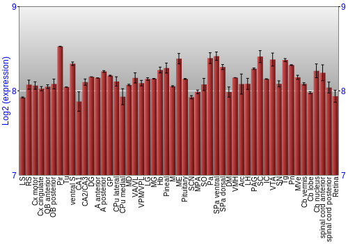 Expression graph