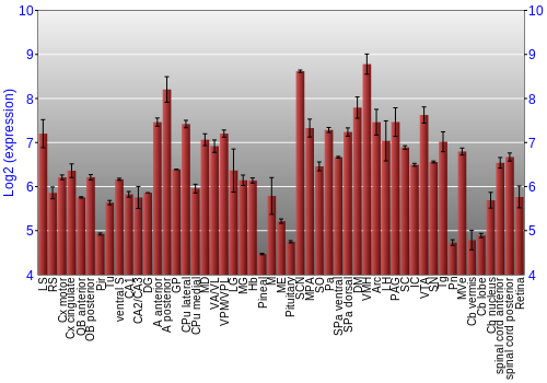 Expression graph
