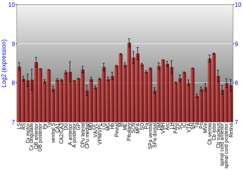 Expression graph