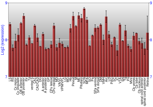 Expression graph