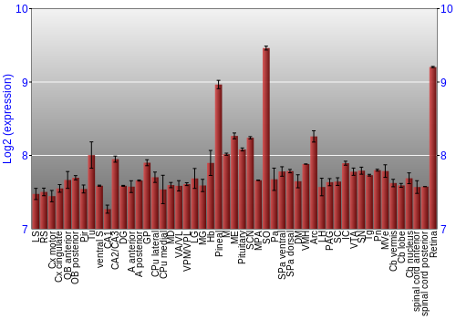 Expression graph