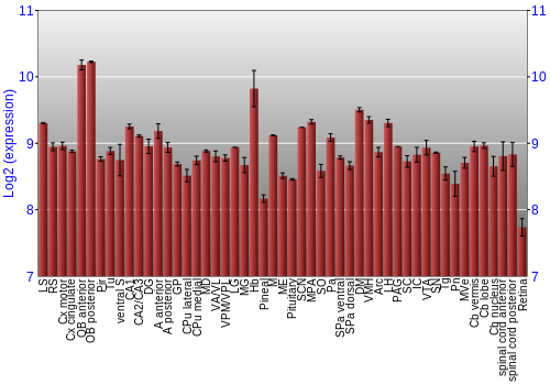Expression graph