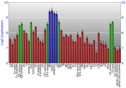 Multi-state expression graph