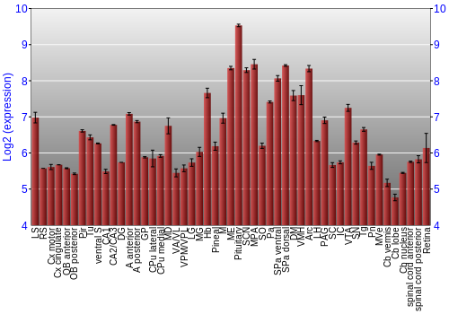 Expression graph