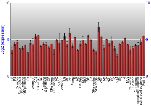 Expression graph