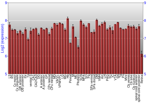 Expression graph