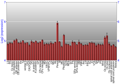 Expression graph
