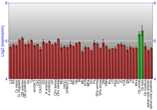 Multi-state expression graph