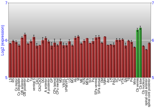 Multi-state expression graph