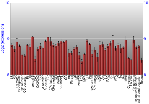 Expression graph