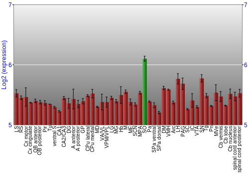 Multi-state expression graph