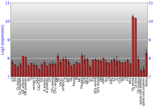 Expression graph