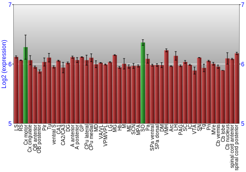 Multi-state expression graph
